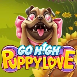 Go High Puppy Love casino game by RubyPlay – featured logo at Roulettino Casino